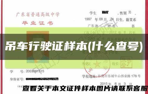 吊車行駛證樣本(什么查號)縮略圖