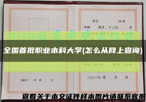 全國首批職業本科大學(怎么從網上查詢)縮略圖
