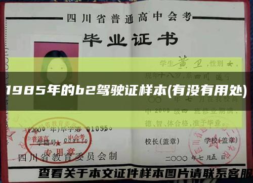 1985年的b2駕駛證樣本(有沒有用處)縮略圖