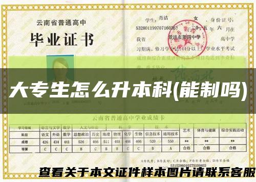 大專生怎么升本科(能制嗎)縮略圖
