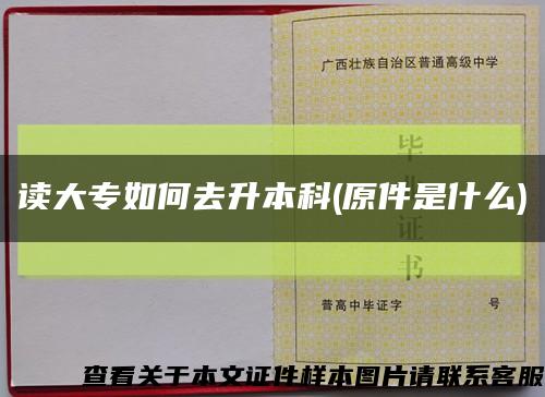 讀大專如何去升本科(原件是什么)縮略圖