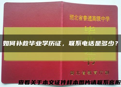如何補救畢業學歷證，聯系電話是多少？縮略圖