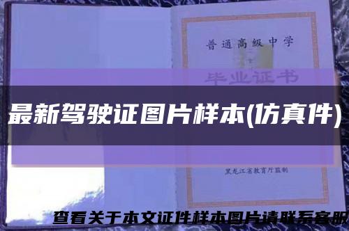 最新駕駛證圖片樣本(仿真件)縮略圖