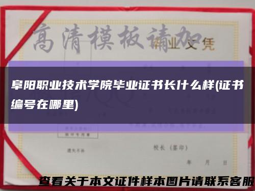 阜陽職業技術學院畢業證書長什么樣(證書編號在哪里)縮略圖