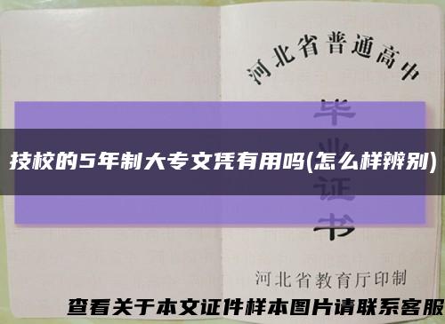 技校的5年制大專文憑有用嗎(怎么樣辨別)縮略圖
