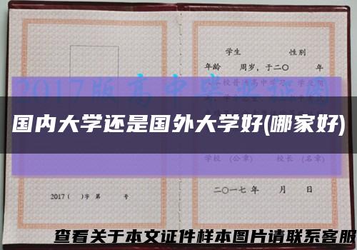 國內大學還是國外大學好(哪家好)縮略圖