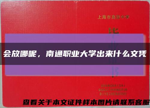 會放哪呢，南通職業大學出來什么文憑縮略圖