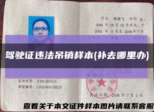 駕駛證違法吊銷樣本(補去哪里辦)縮略圖