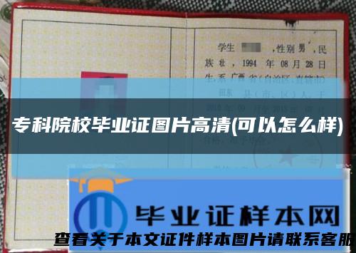 ?？圃盒．厴I證圖片高清(可以怎么樣)縮略圖