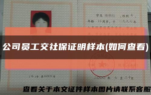 公司員工交社保證明樣本(如何查看)縮略圖