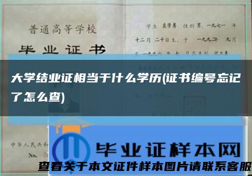 大學結業證相當于什么學歷(證書編號忘記了怎么查)縮略圖