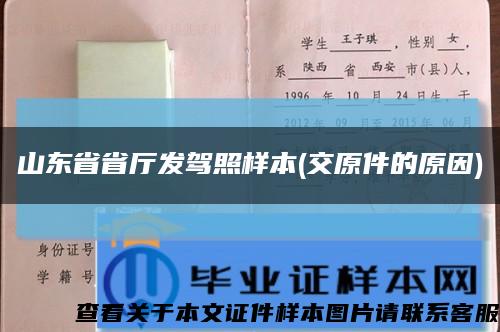 山東省省廳發駕照樣本(交原件的原因)縮略圖