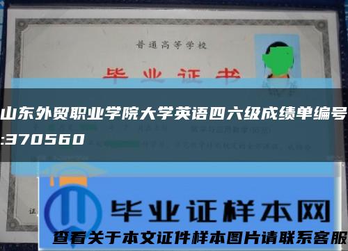 山東外貿職業學院大學英語四六級成績單編號:370560縮略圖