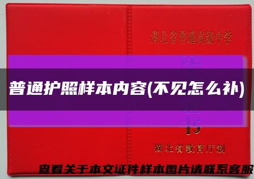 普通護照樣本內容(不見怎么補)縮略圖