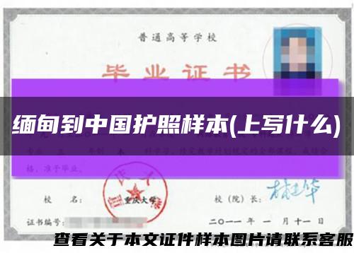 緬甸到中國護照樣本(上寫什么)縮略圖