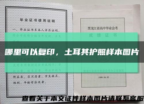 哪里可以復印，土耳其護照樣本圖片縮略圖