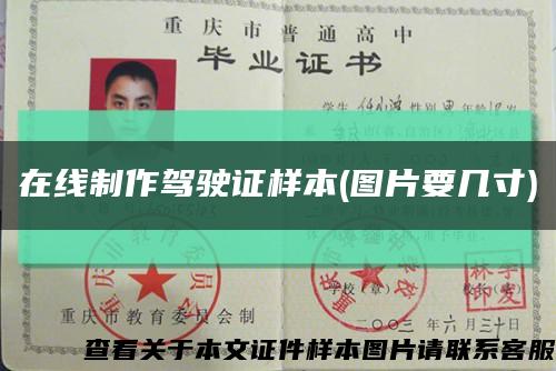在線制作駕駛證樣本(圖片要幾寸)縮略圖