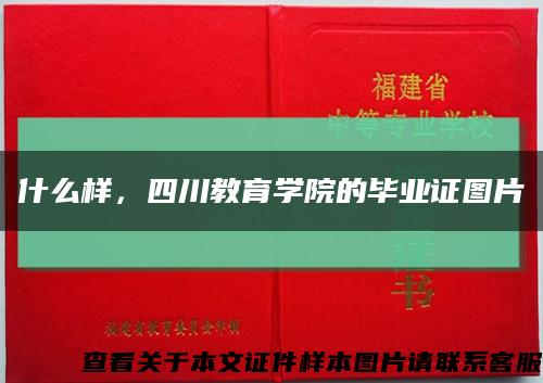 什么樣，四川教育學院的畢業證圖片縮略圖