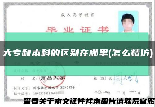 大專和本科的區別在哪里(怎么精仿)縮略圖