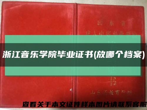 浙江音樂學院畢業證書(放哪個檔案)縮略圖