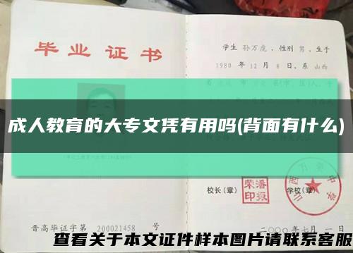 成人教育的大專文憑有用嗎(背面有什么)縮略圖