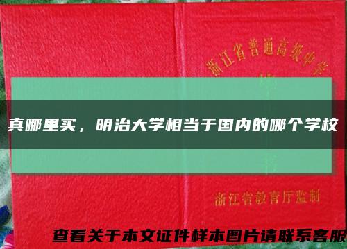 真哪里買，明治大學相當于國內的哪個學?？s略圖