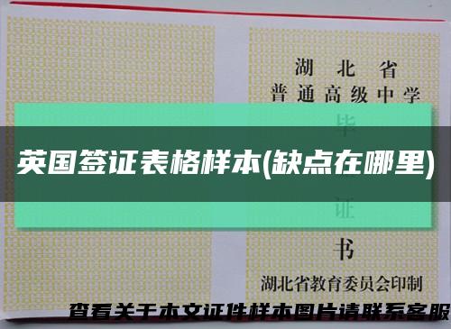 英國簽證表格樣本(缺點在哪里)縮略圖