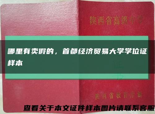 哪里有賣假的，首都經濟貿易大學學位證樣本縮略圖