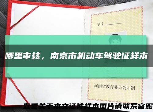 哪里審核，南京市機動車駕駛證樣本縮略圖