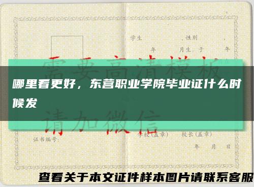 哪里看更好，東營職業學院畢業證什么時候發縮略圖