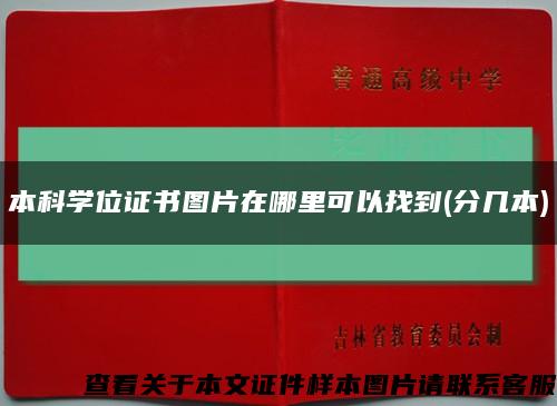 本科學位證書圖片在哪里可以找到(分幾本)縮略圖