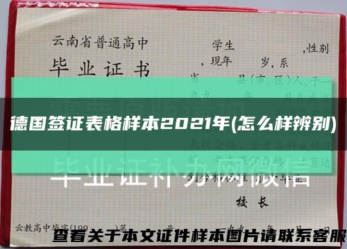 德國簽證表格樣本2021年(怎么樣辨別)縮略圖