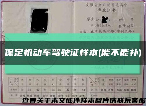 保定機動車駕駛證樣本(能不能補)縮略圖