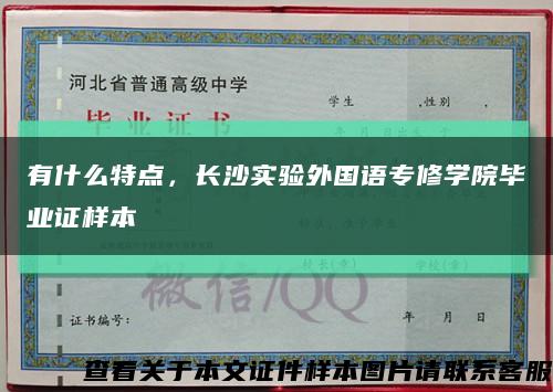 有什么特點，長沙實驗外國語專修學院畢業證樣本縮略圖