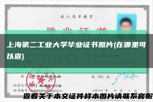上海第二工業大學畢業證書照片(在哪里可以查)縮略圖