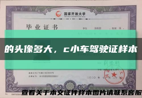 的頭像多大，c小車駕駛證樣本縮略圖