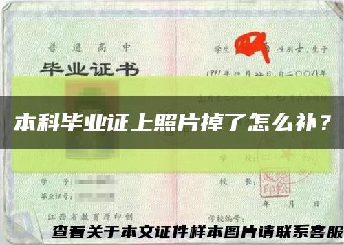 本科畢業證上照片掉了怎么補？縮略圖
