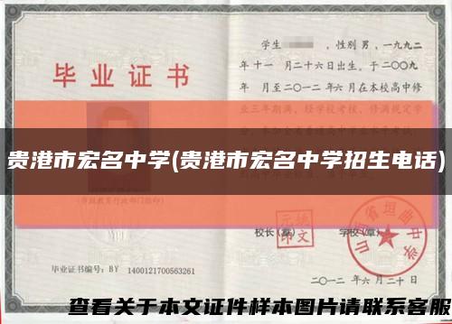 貴港市宏名中學(貴港市宏名中學招生電話)縮略圖