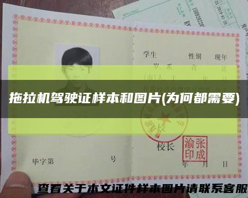 拖拉機駕駛證樣本和圖片(為何都需要)縮略圖