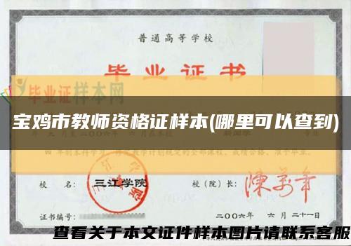 寶雞市教師資格證樣本(哪里可以查到)縮略圖