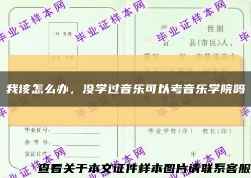 我該怎么辦，沒學過音樂可以考音樂學院嗎縮略圖