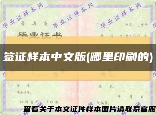 簽證樣本中文版(哪里印刷的)縮略圖