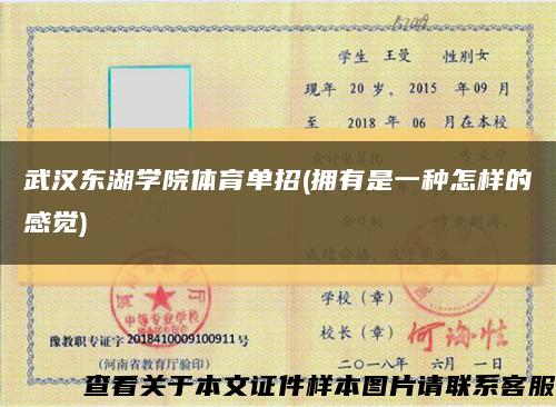 武漢東湖學院體育單招(擁有是一種怎樣的感覺)縮略圖