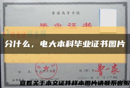 分什么，電大本科畢業證書圖片縮略圖