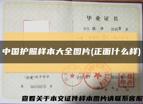 中國護照樣本大全圖片(正面什么樣)縮略圖