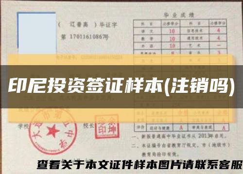 印尼投資簽證樣本(注銷嗎)縮略圖