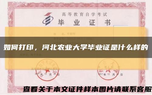 如何打印，河北農業大學畢業證是什么樣的縮略圖