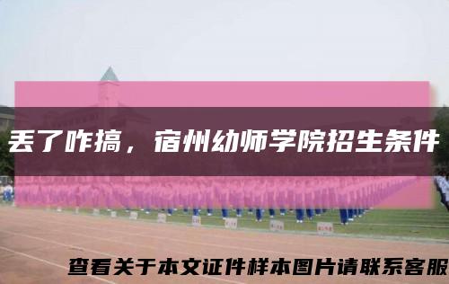 丟了咋搞，宿州幼師學院招生條件縮略圖