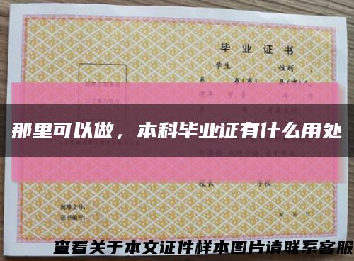 那里可以做，本科畢業證有什么用處縮略圖