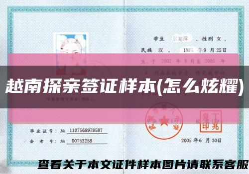 越南探親簽證樣本(怎么炫耀)縮略圖